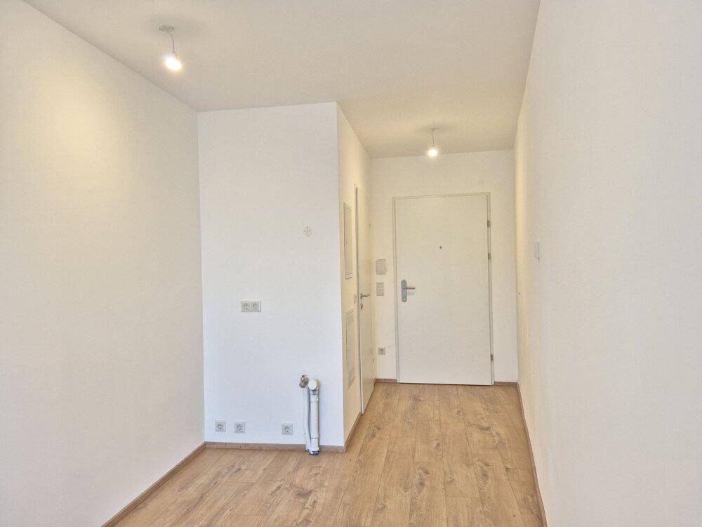 Büro9-1-56-CampoBreitenlee-Mischek-04