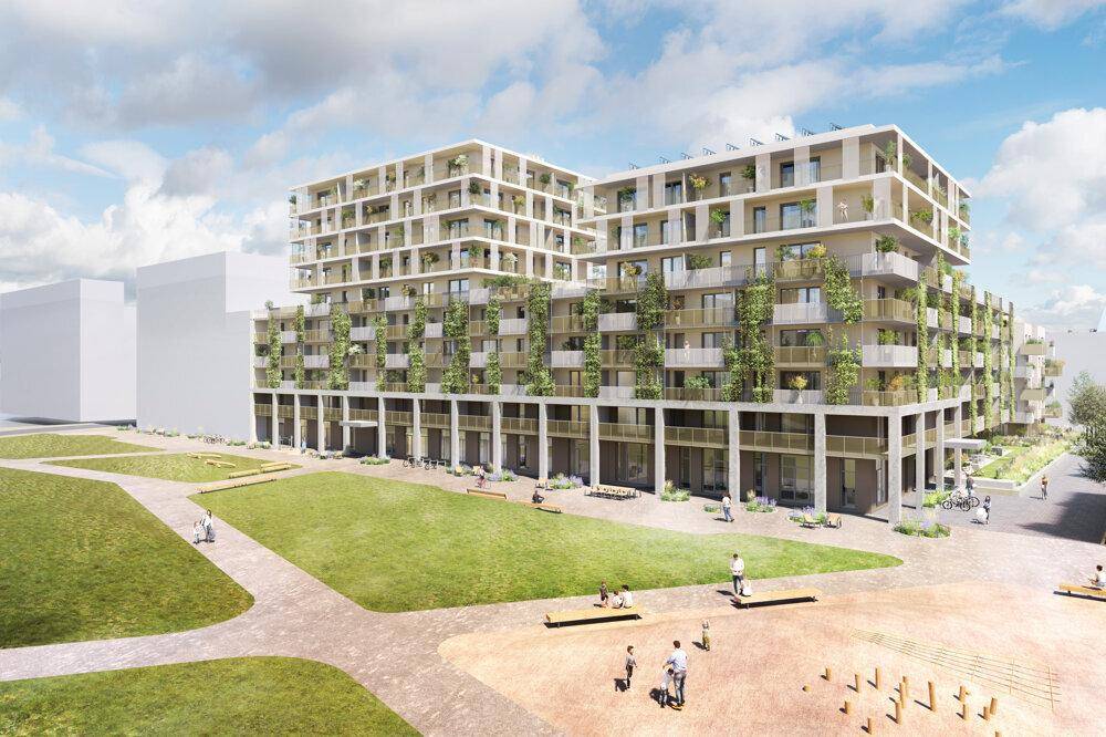 Hausfeld_K18_OhneBäume_00