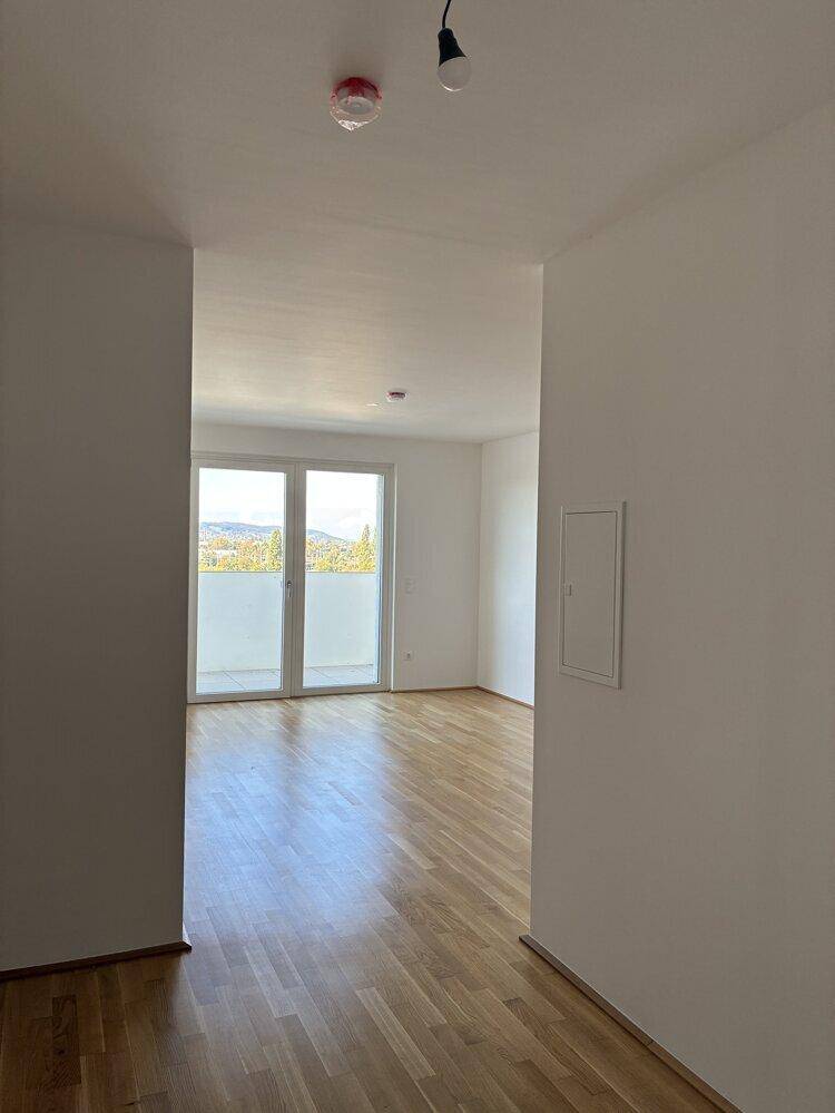 Geräumiger Flur mit Parkettboden, der zu einem hellen Raum mit Fernblick führt.