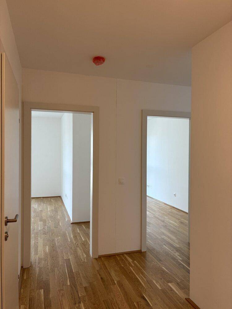 Heller Flur mit mehreren Türen und Holzboden, der verschiedene Räume verbindet.