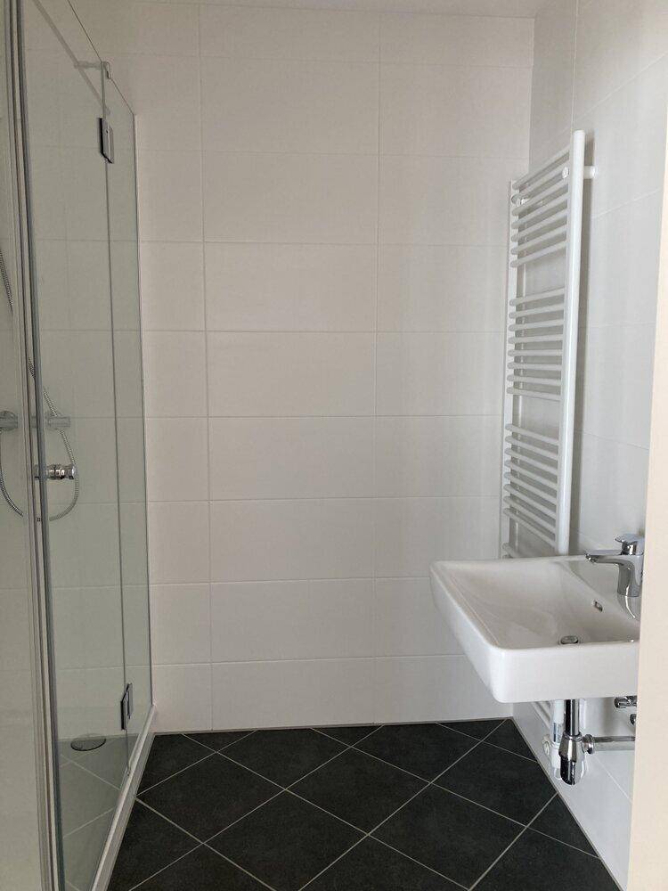 Modernes Badezimmer mit Waschbecken, Duschkabine und beheiztem Handtuchhalter, in hellen und dunklen Tönen.