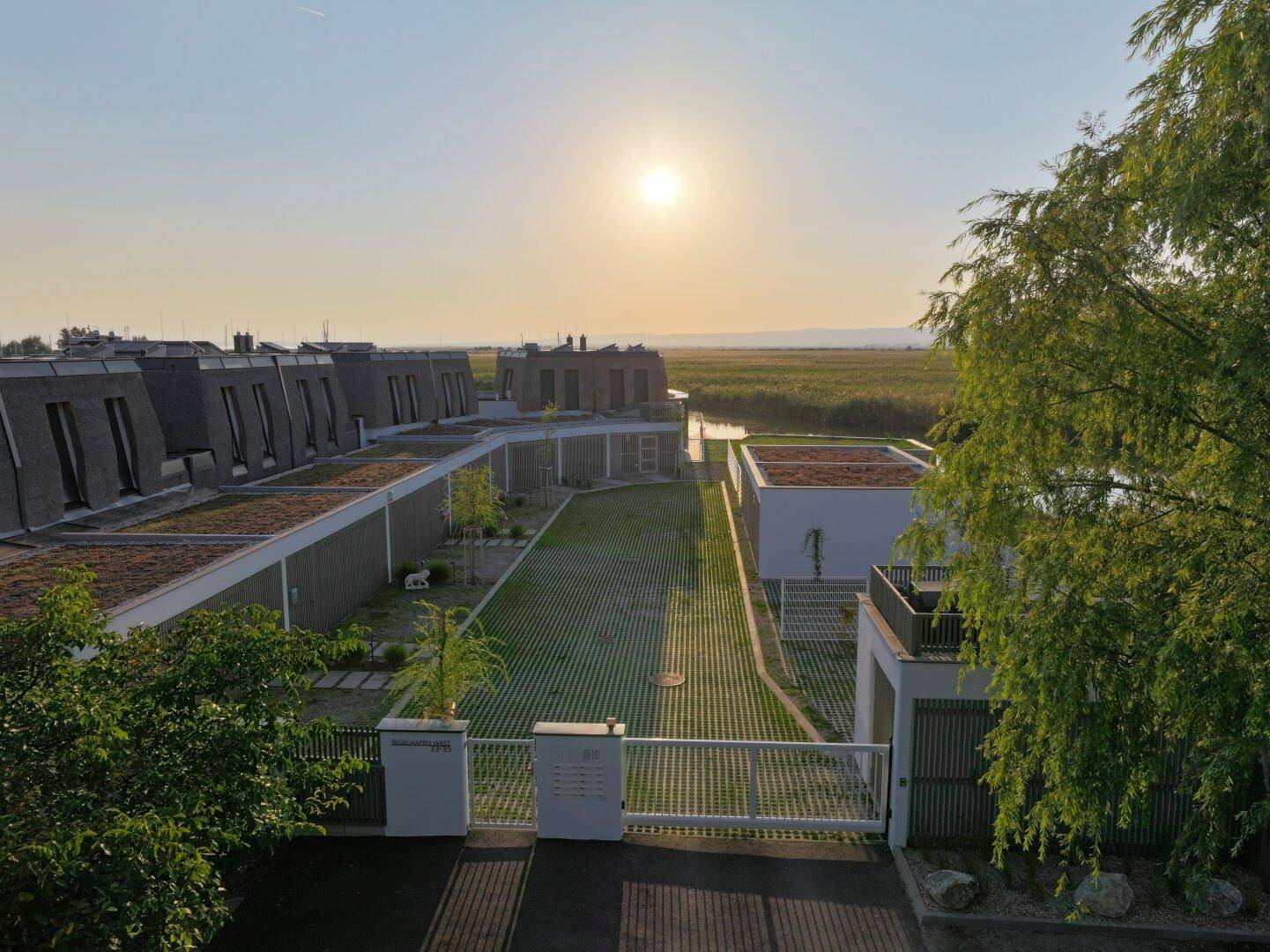Eingangsbereich der Wohnanlage mit begrüntem Zufahrtsweg und modernen Gebäuden bei Sonnenuntergang.