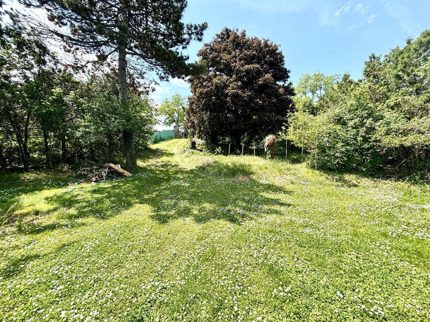 Naturbelassener Gartenbereich mit hohen Bäumen und viel Grün, ideal zum Entspannen und Verweilen.