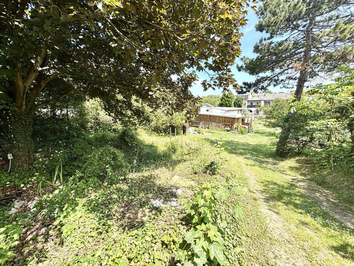 Naturbelassener Gartenweg umgeben von üppigem Grün und hohen Bäumen, ideal für Spaziergänge.