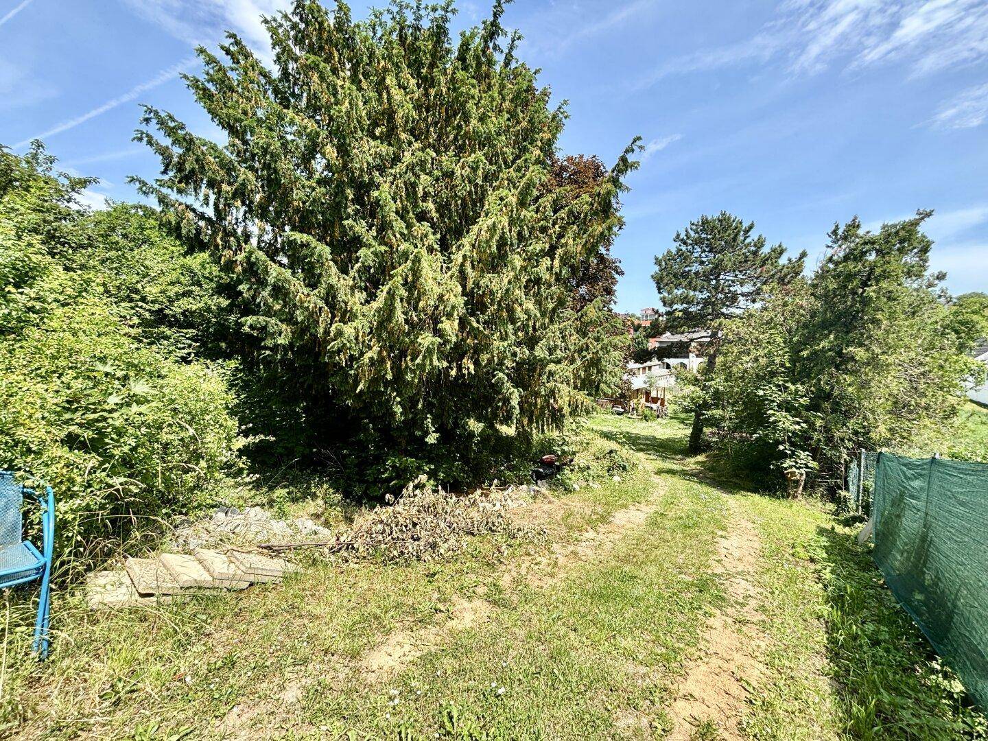 Wild bewachsener Gartenbereich mit einem Pfad und hohen Nadelbäumen, bietet viel Privatsphäre.