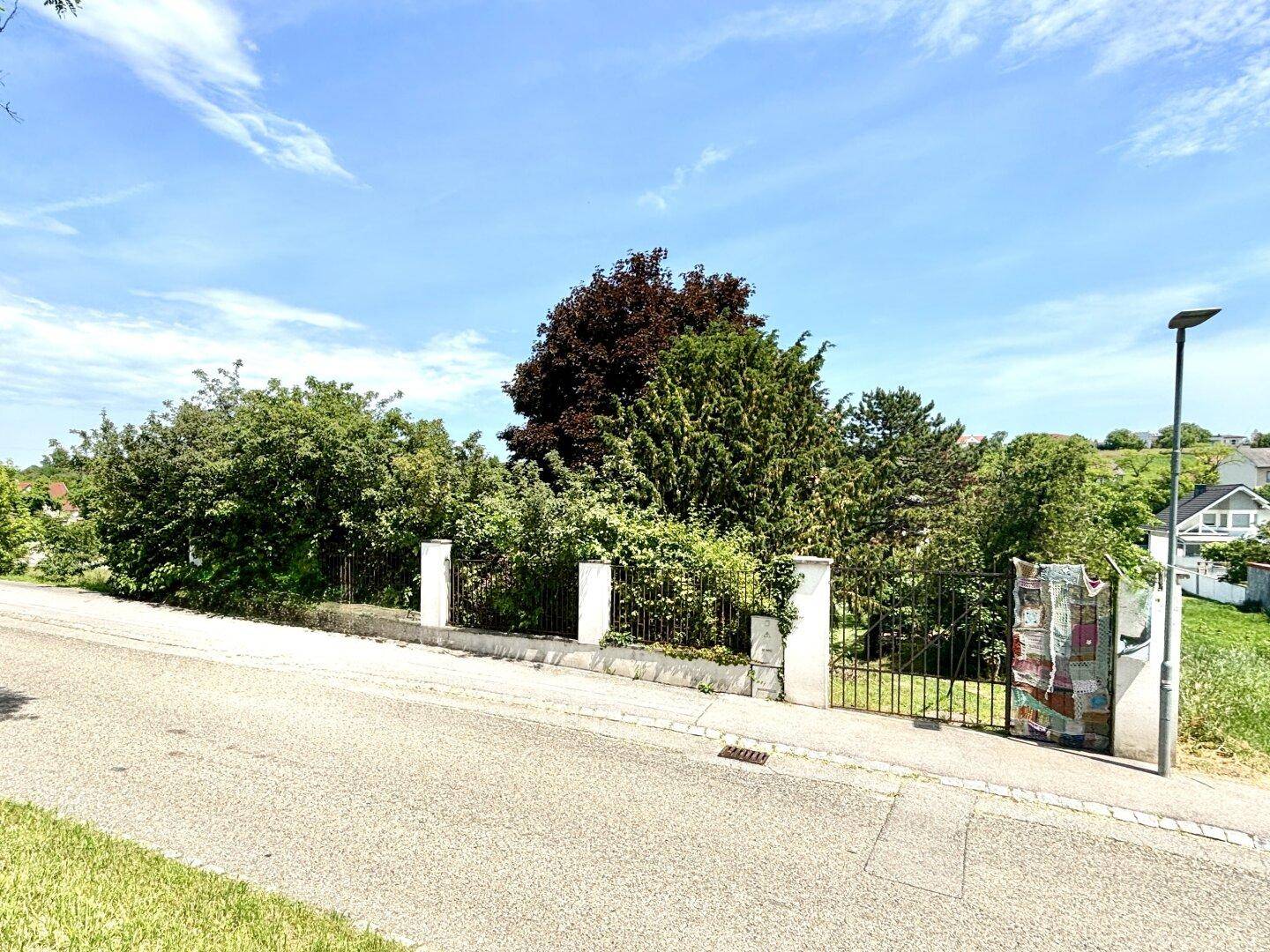 Eingangsbereich des Grundstücks von der Straße aus gesehen, umgeben von Bäumen und Büschen.