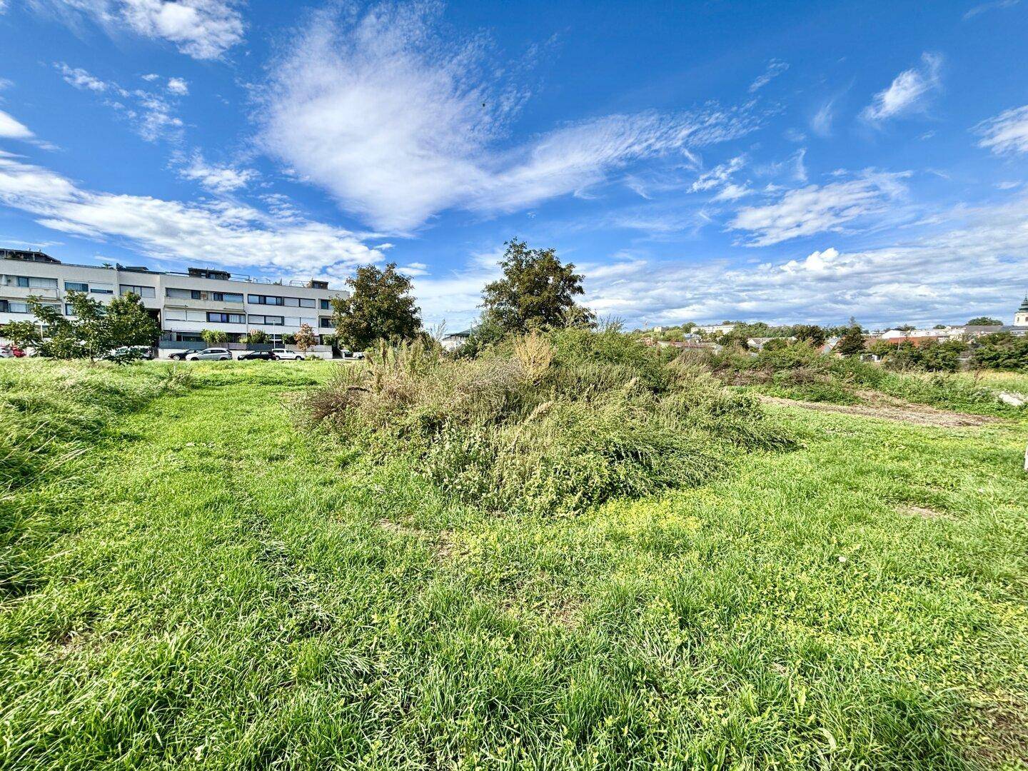 Weitläufiges grünes Grundstück mit dichter Vegetation und Gebäuden in der Ferne.