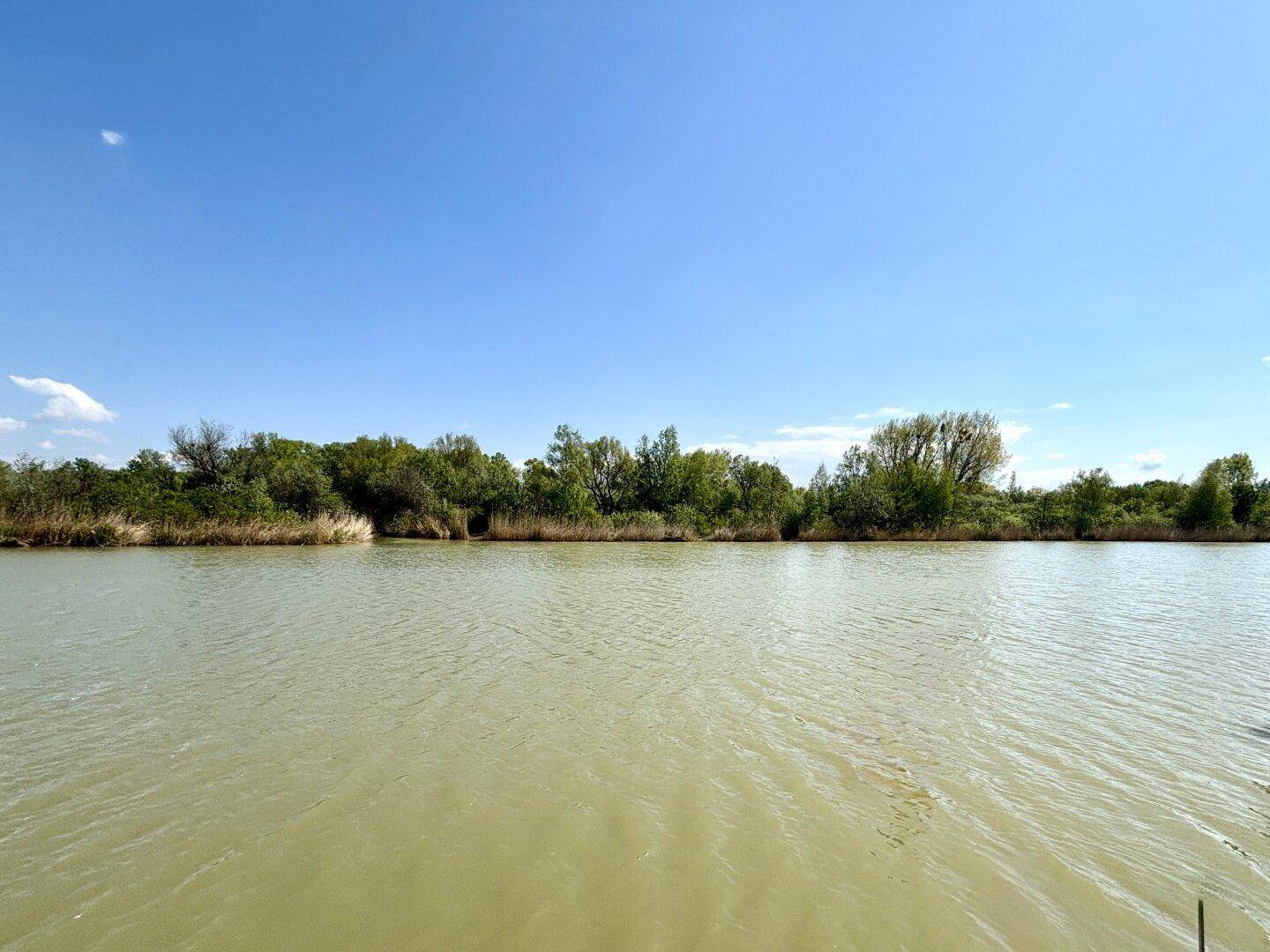 Weitläufiger Blick über den ruhigen See mit üppiger Ufervegetation unter blauem Himmel.