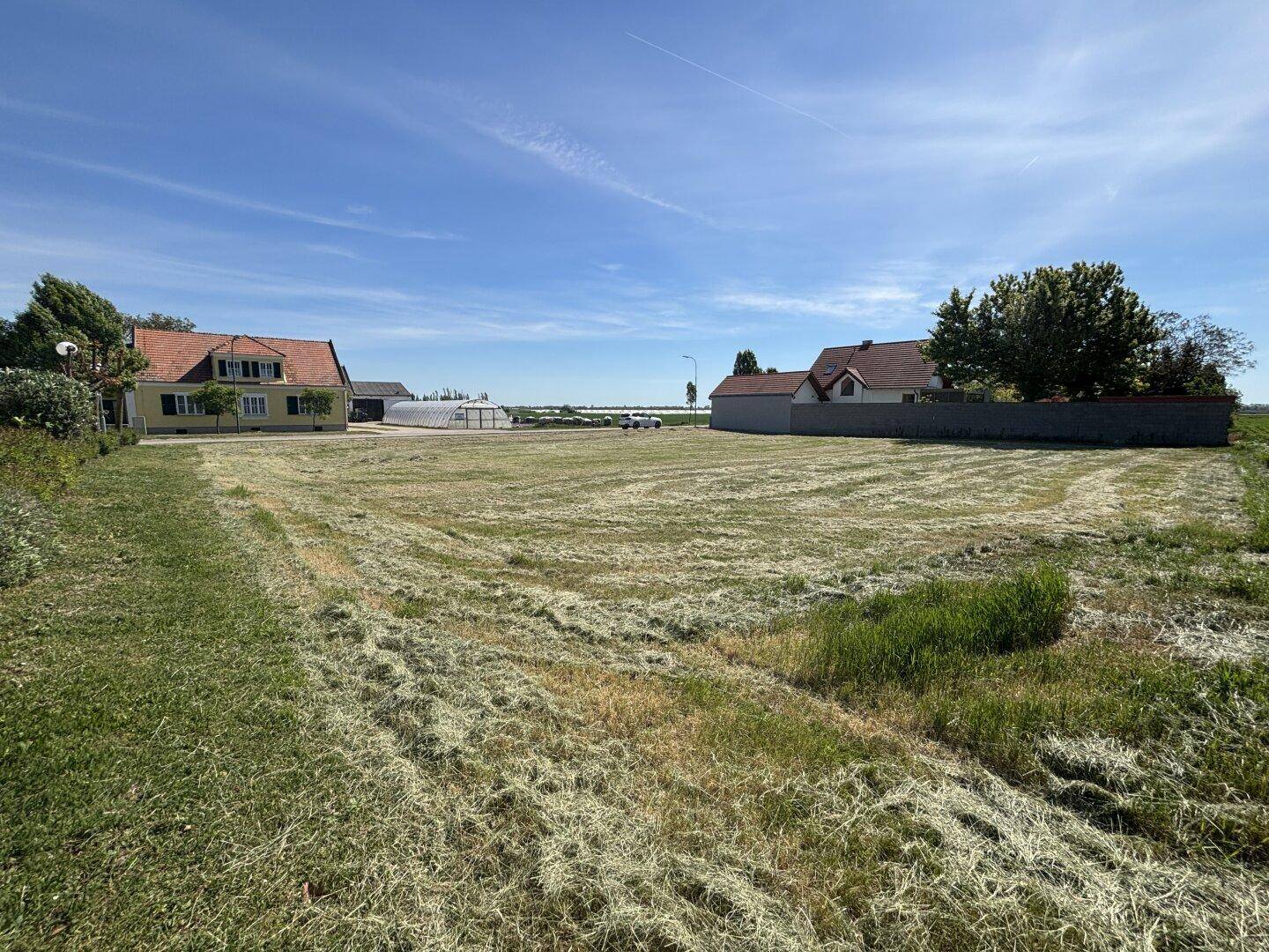 Großes, offenes Grundstück mit Wiesenfläche und Blick auf die umliegende Bebauung bei klarem Wetter.