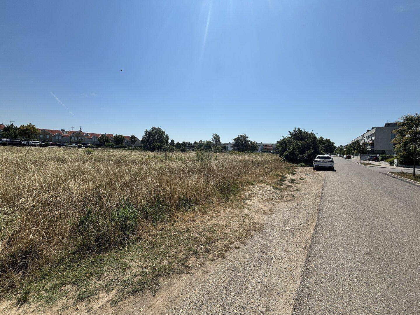 Unbebautes Grundstück neben einer asphaltierten Straße mit Fahrzeugen und Gebäuden in der Ferne.
