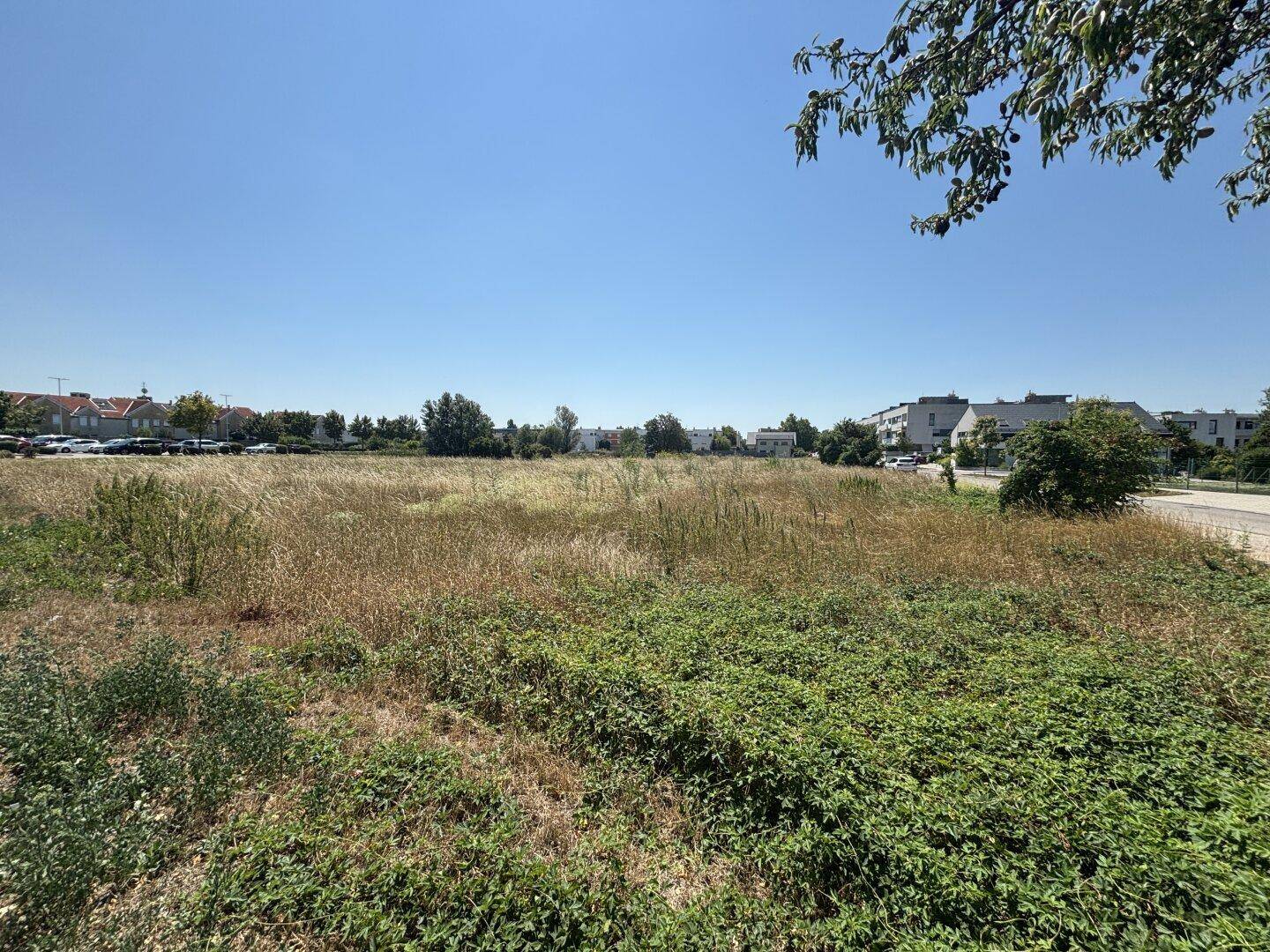 Weitläufiges Grundstück mit natürlicher Vegetation und klarem Himmel, umgeben von städtischen Strukturen.