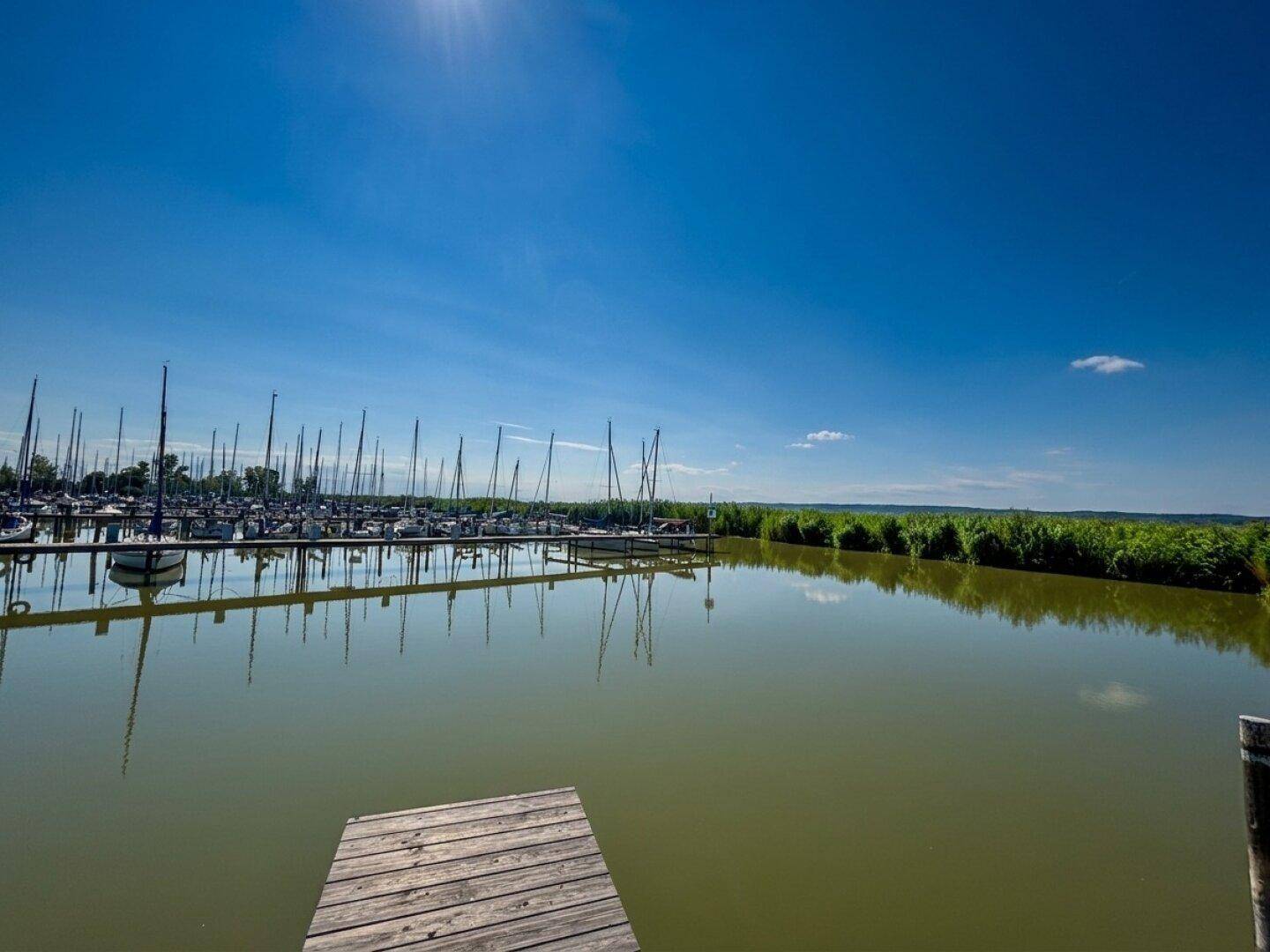 Weitläufiger Blick auf den Yachthafen und die umliegende Natur unter blauem Himmel.