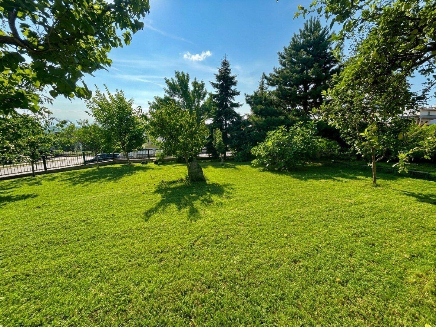 Großer, gepflegter Garten mit weitläufiger Rasenfläche und verschiedenen Bäumen.