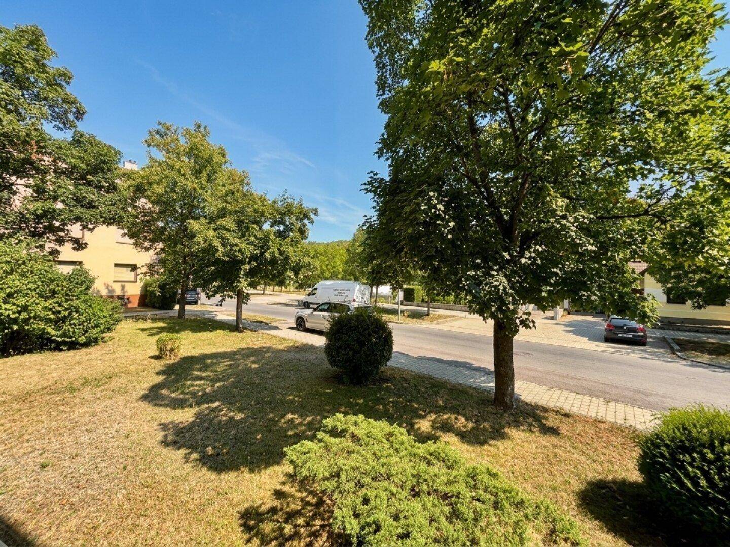 Blick auf die von Bäumen gesäumte Straße und die umliegende Wohngegend an einem sonnigen Tag.