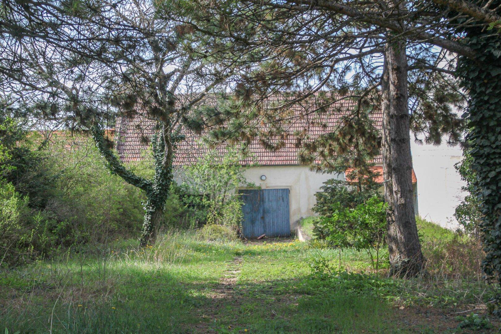 Verstecktes Gebäude mit blauen Holztüren und rotem Ziegeldach, umgeben von dichtem Grün und Bäumen.