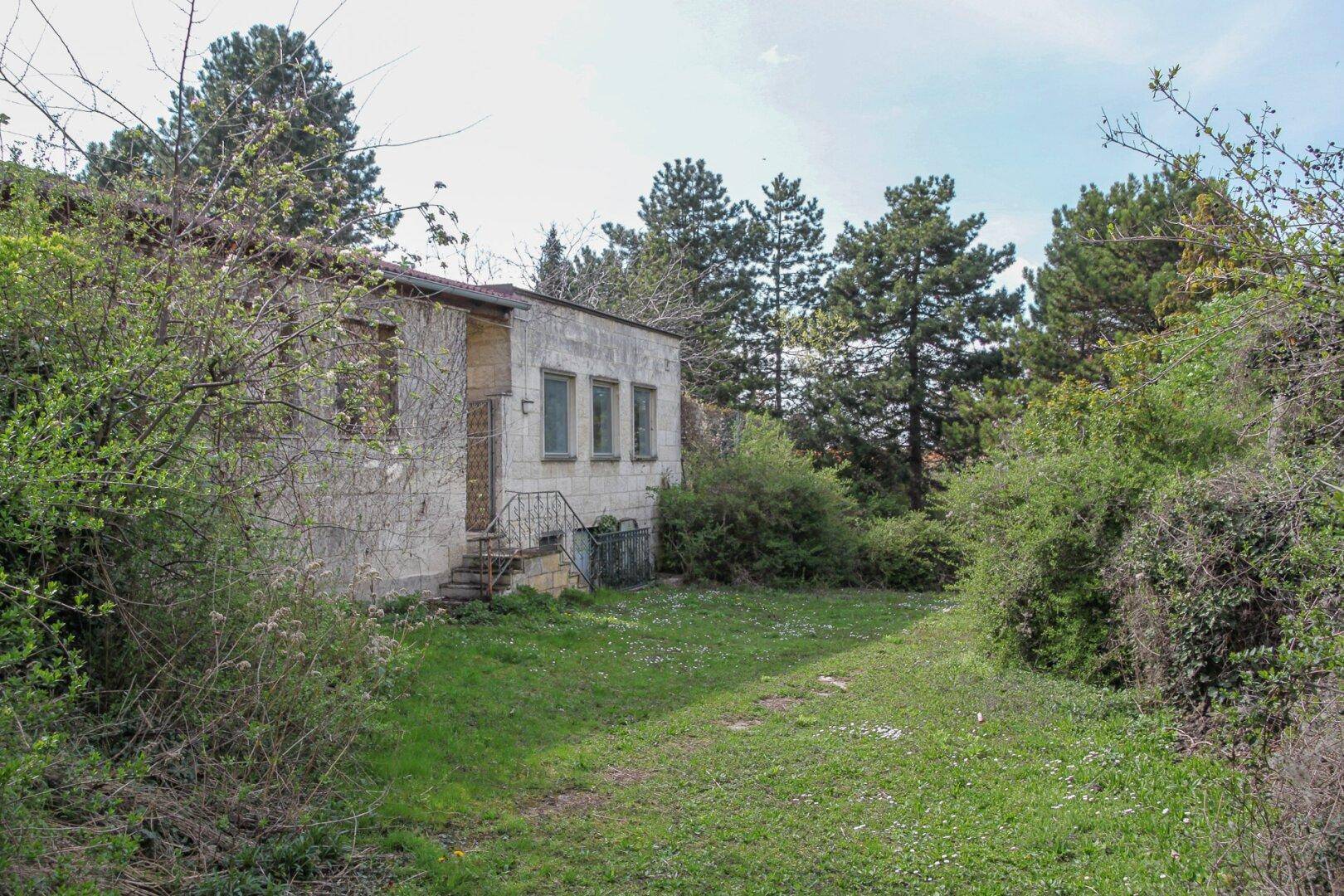 Gebäude mit Steinfassade und Treppe, umgeben von einem verwilderten Garten mit hohen Bäumen.