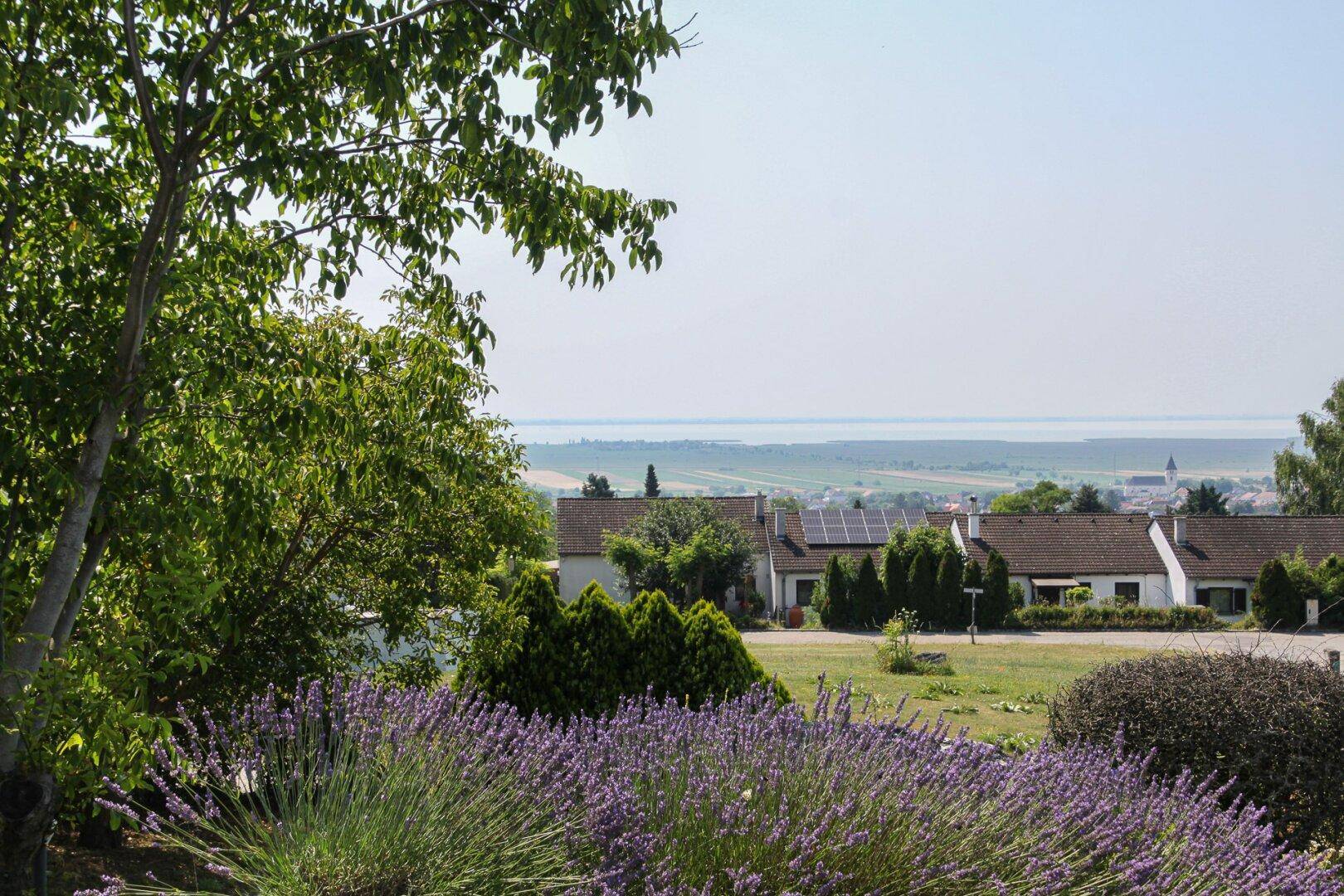 Blühender Lavendel im Garten mit Panoramablick auf den See und die umliegende Landschaft.