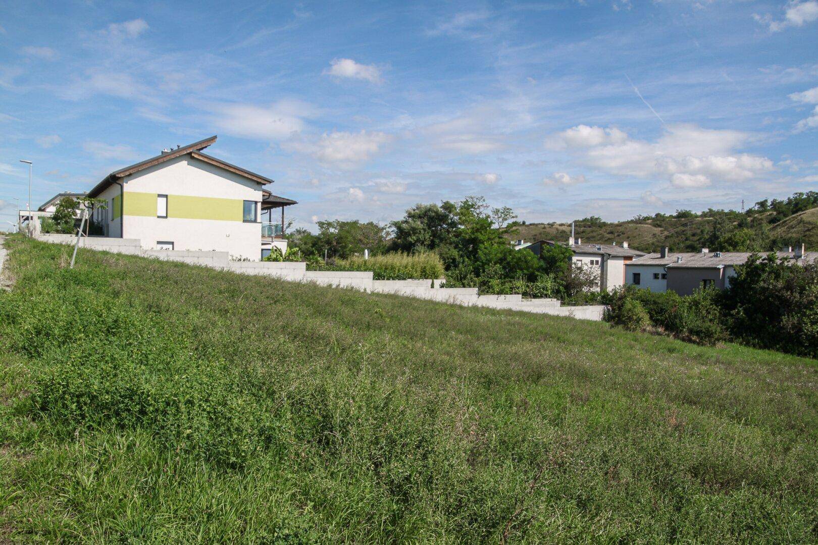 Grüne Wiese mit einem modernen Haus und bewaldeten Hügeln im Hintergrund unter blauem Himmel.