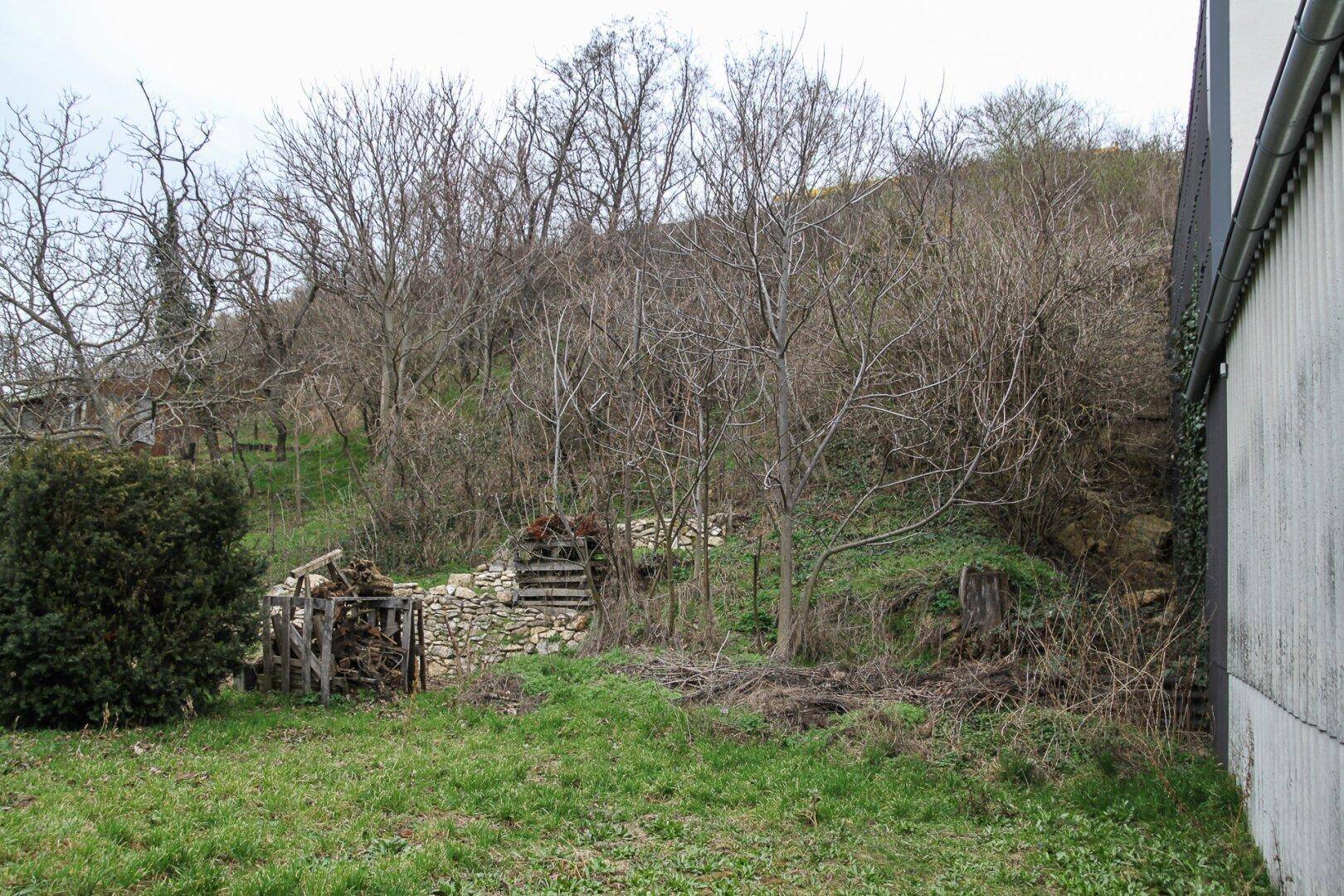 Naturbelassener Gartenbereich mit Bäumen, Sträuchern und einer rustikalen Steinmauer im Hintergrund.