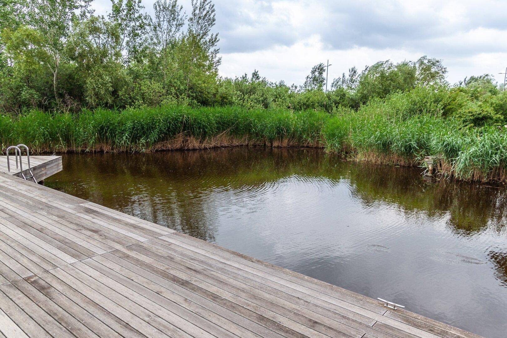 Geräumige Holzterrasse direkt am ruhigen Wasser, umgeben von üppigem Schilf und Bäumen.