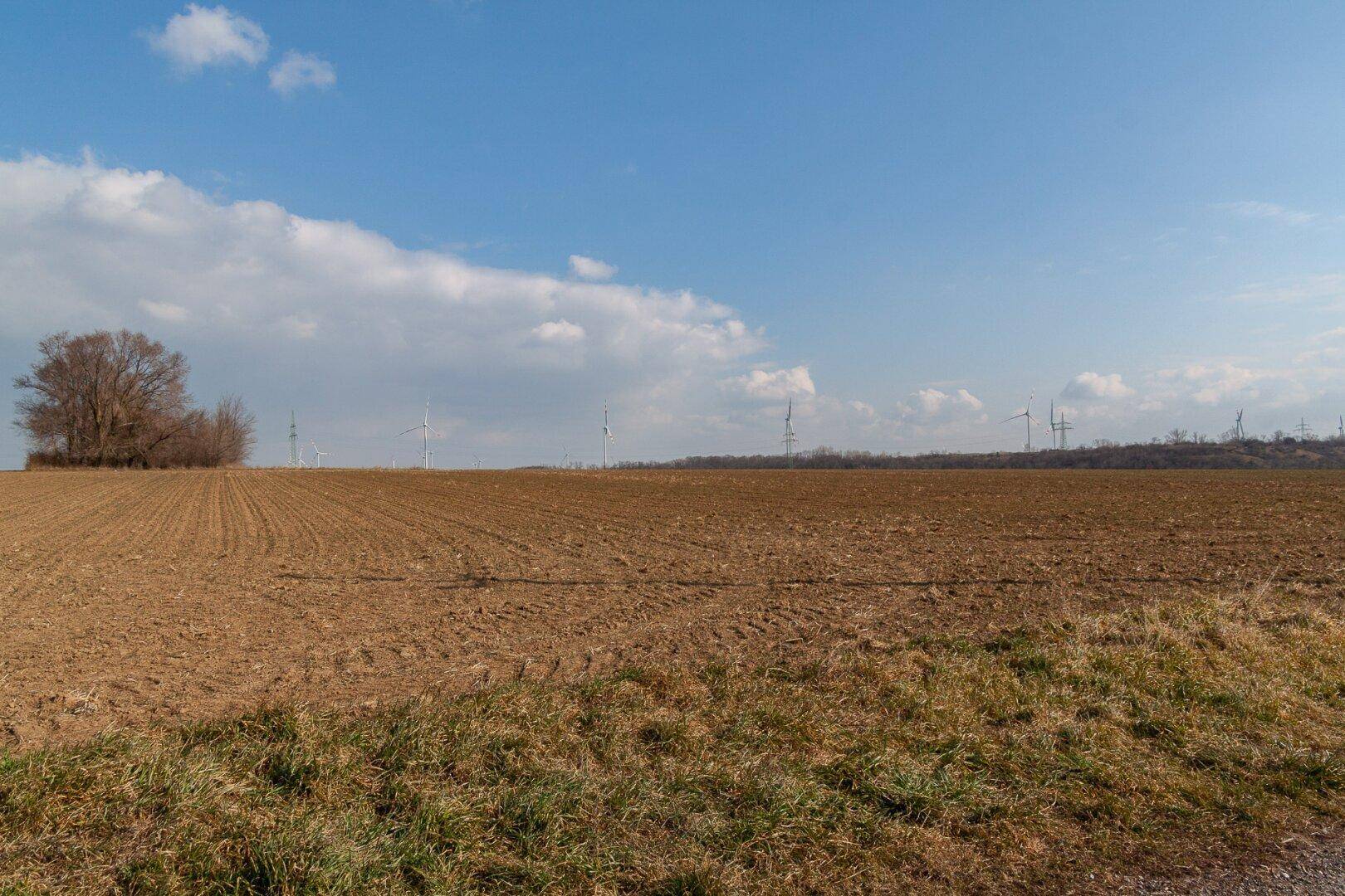 unbebautes Grundstück in Neusiedl am See – pohled 5