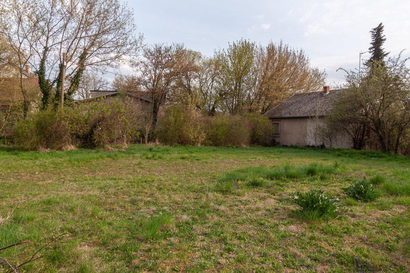 Grundstück in Neusiedl am See - Ansicht 5