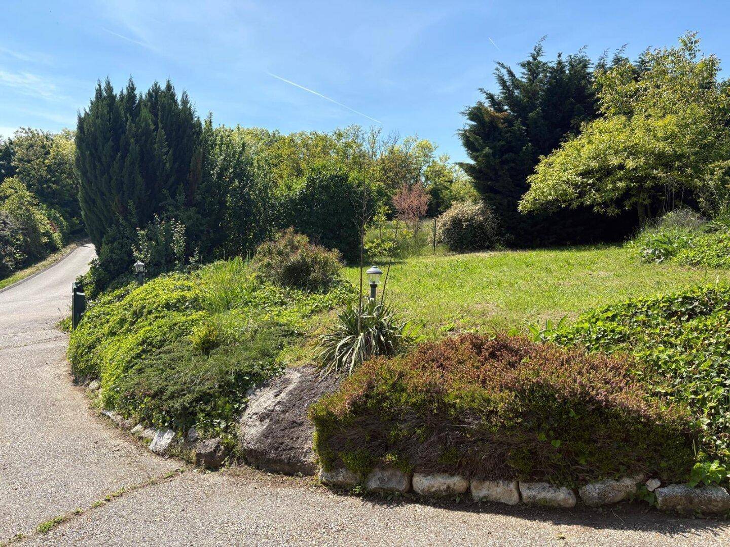 Gepflegter Gartenbereich mit verschiedenen Sträuchern und Rasenfläche.