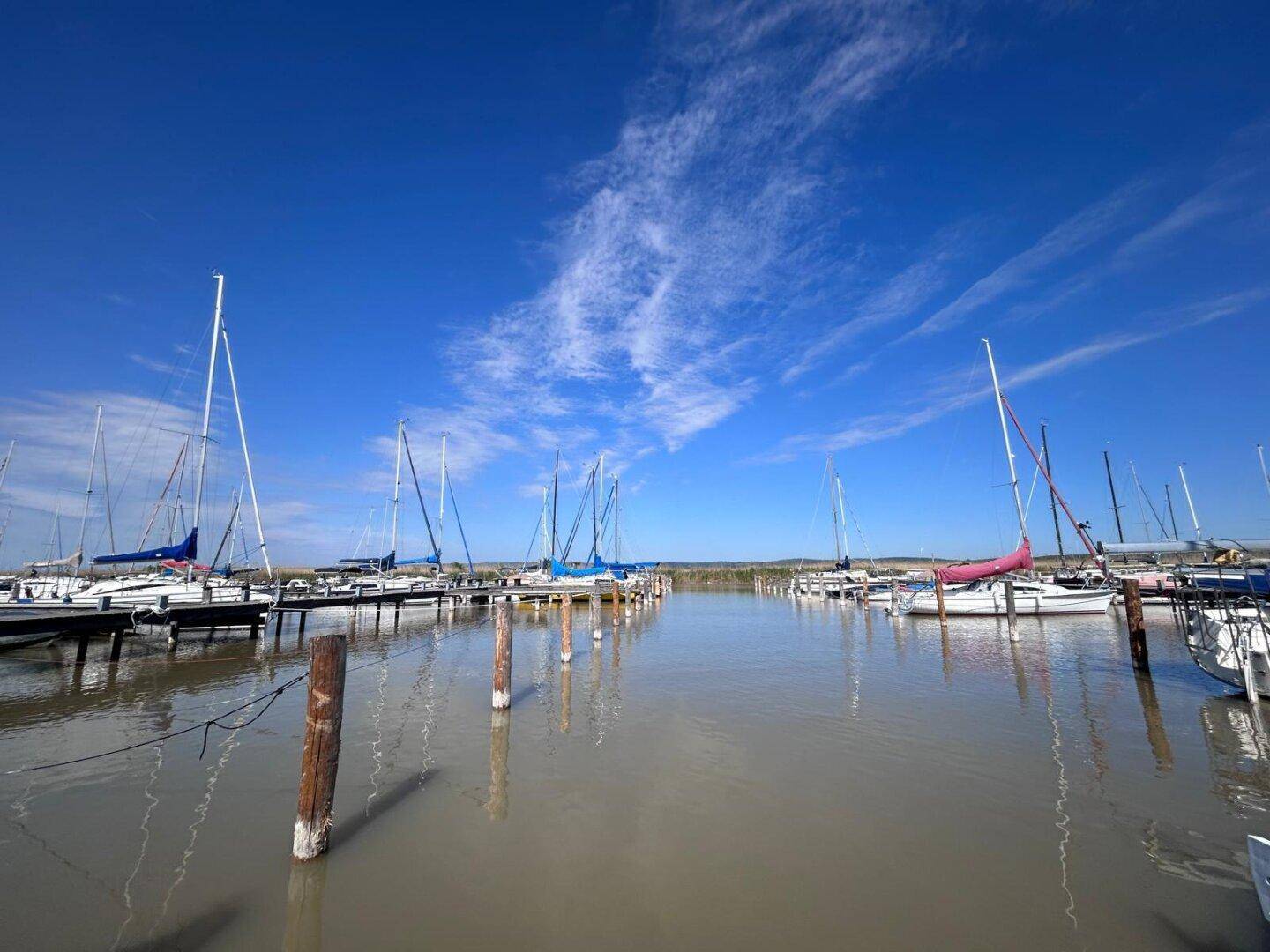 Weitläufiger Yachthafen mit zahlreichen Segelbooten unter einem strahlend blauen Himmel.
