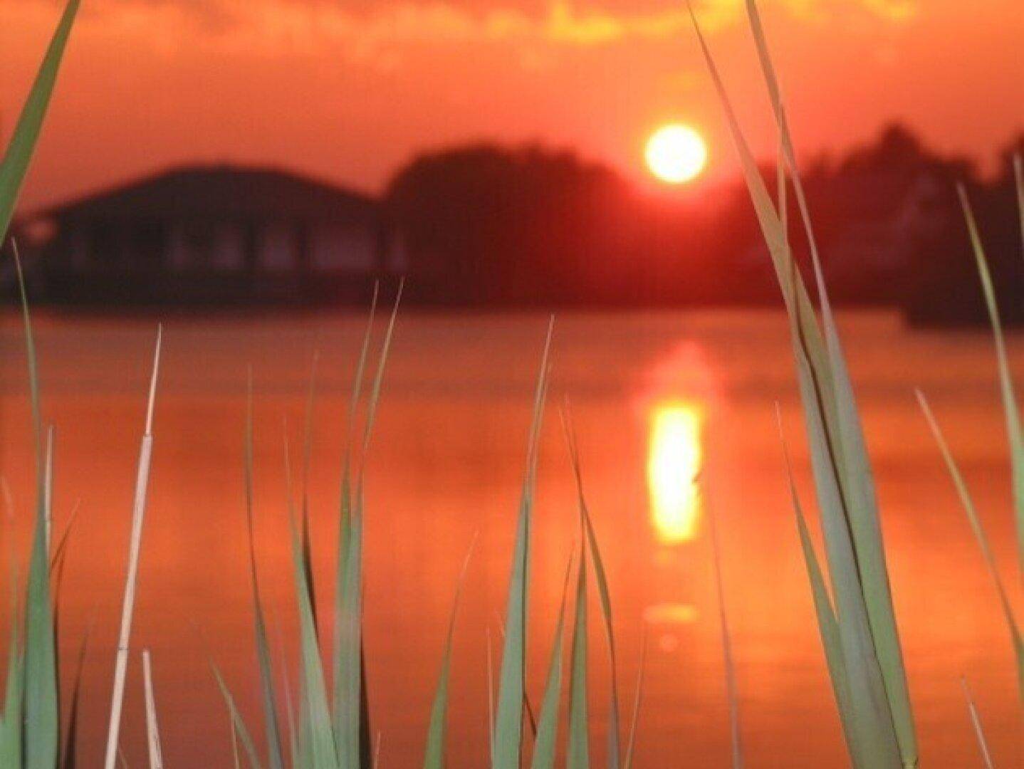 Spektakulärer Sonnenuntergang über einem See mit leuchtendem Himmel und Schilf im Vordergrund.
