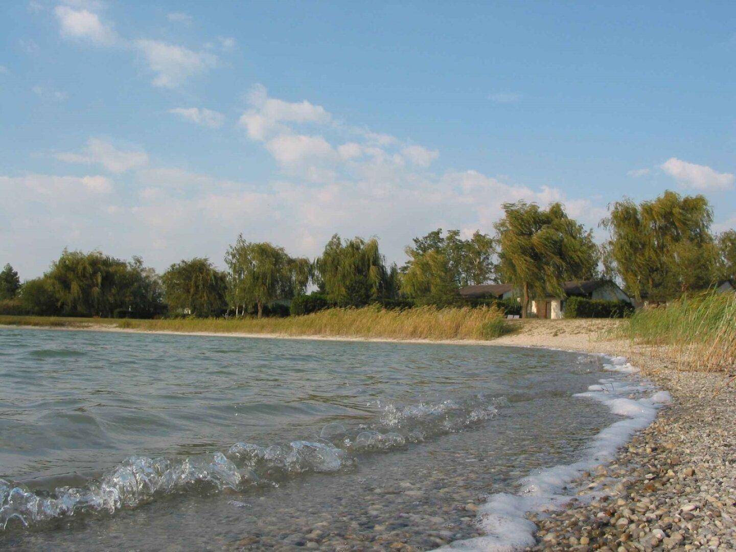 Kiesstrand am Seeufer mit sanften Wellen, Schilf und Häusern in der Ferne.