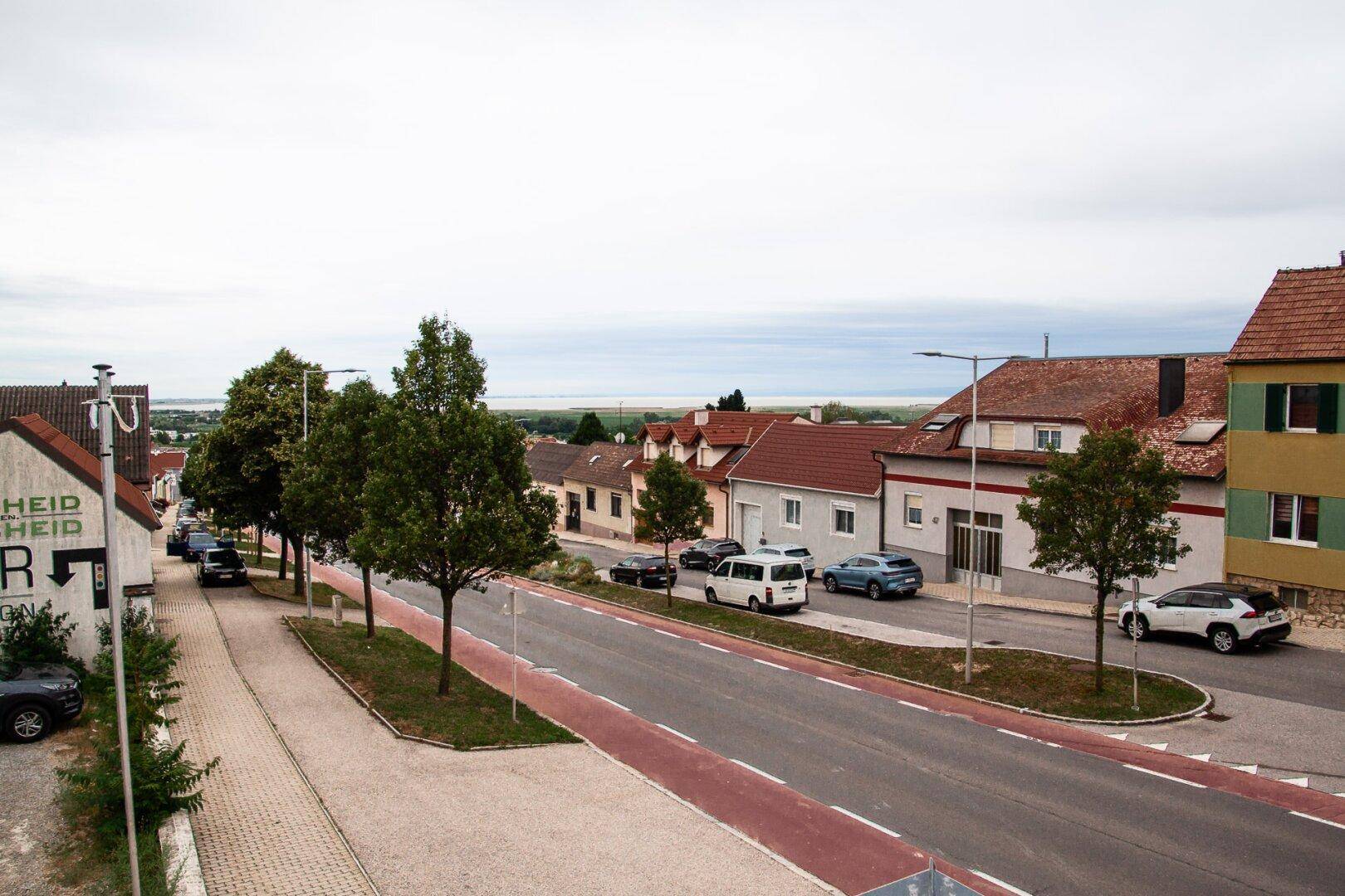 Panoramablick über eine Wohnstraße mit Häusern, Bäumen und einem See in der Ferne.
