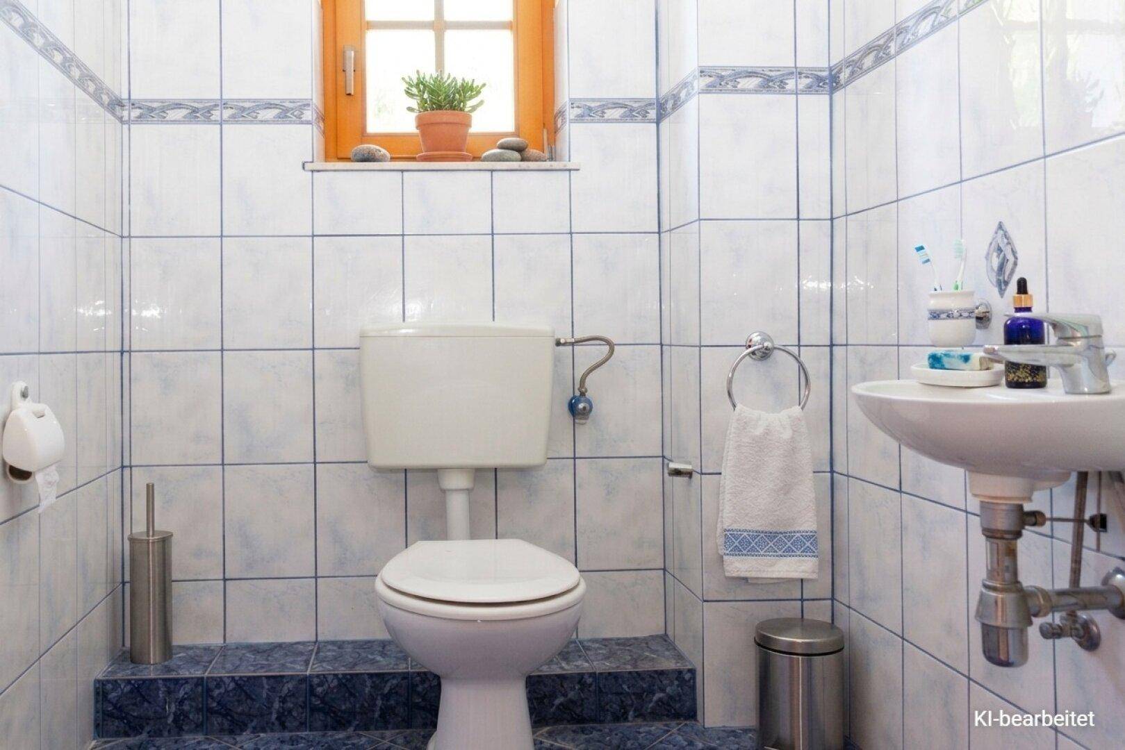 Renoviertes WC mit blauen und weißen Fliesen, Toilette und Waschbecken.