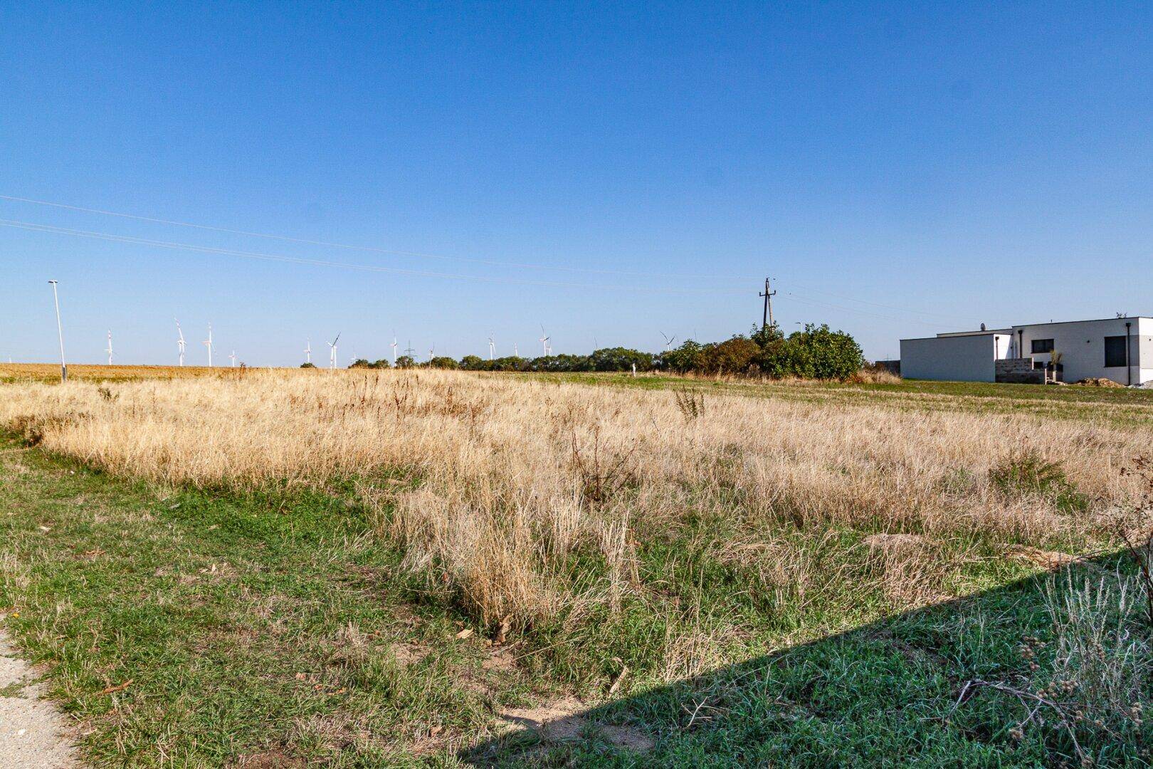 Weitläufiges Grasfeld mit einem modernen Gebäude und Windrädern in der Ferne unter klarem Himmel.