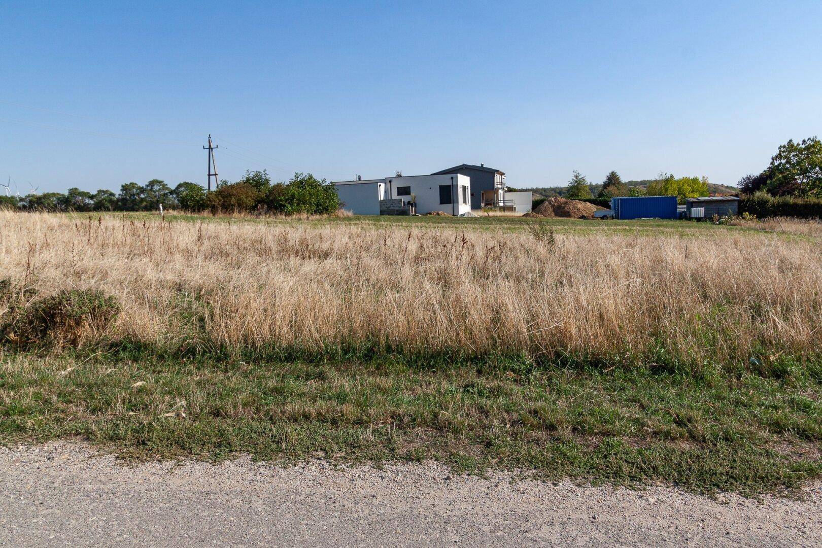 Trockenes Grasfeld mit mehreren modernen Gebäuden, Bäumen und einem blauen Container im Hintergrund.