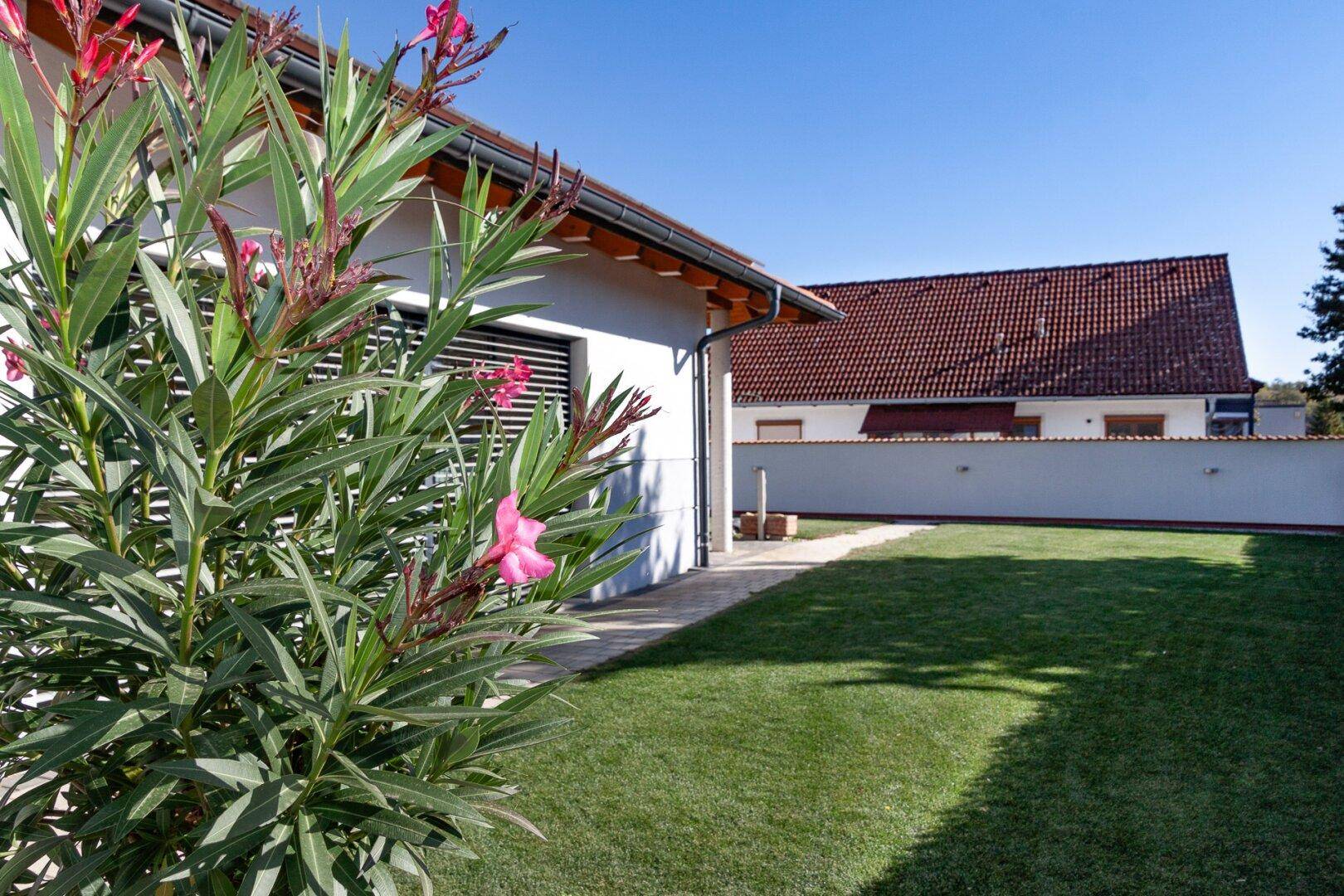 Grüner Gartenbereich mit blühenden Pflanzen und Blick auf die Hausfassade unter klarem Himmel.