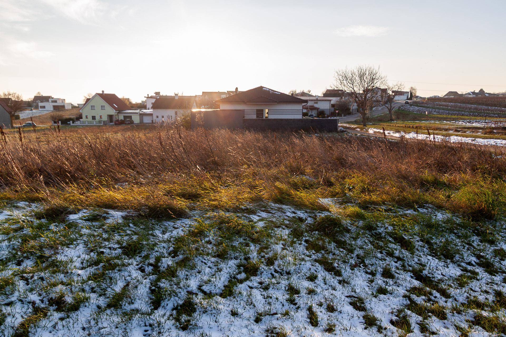 Winterliche Landschaft mit schneebedeckten Feldern und Wohnhäusern im Hintergrund bei Sonnenuntergang.