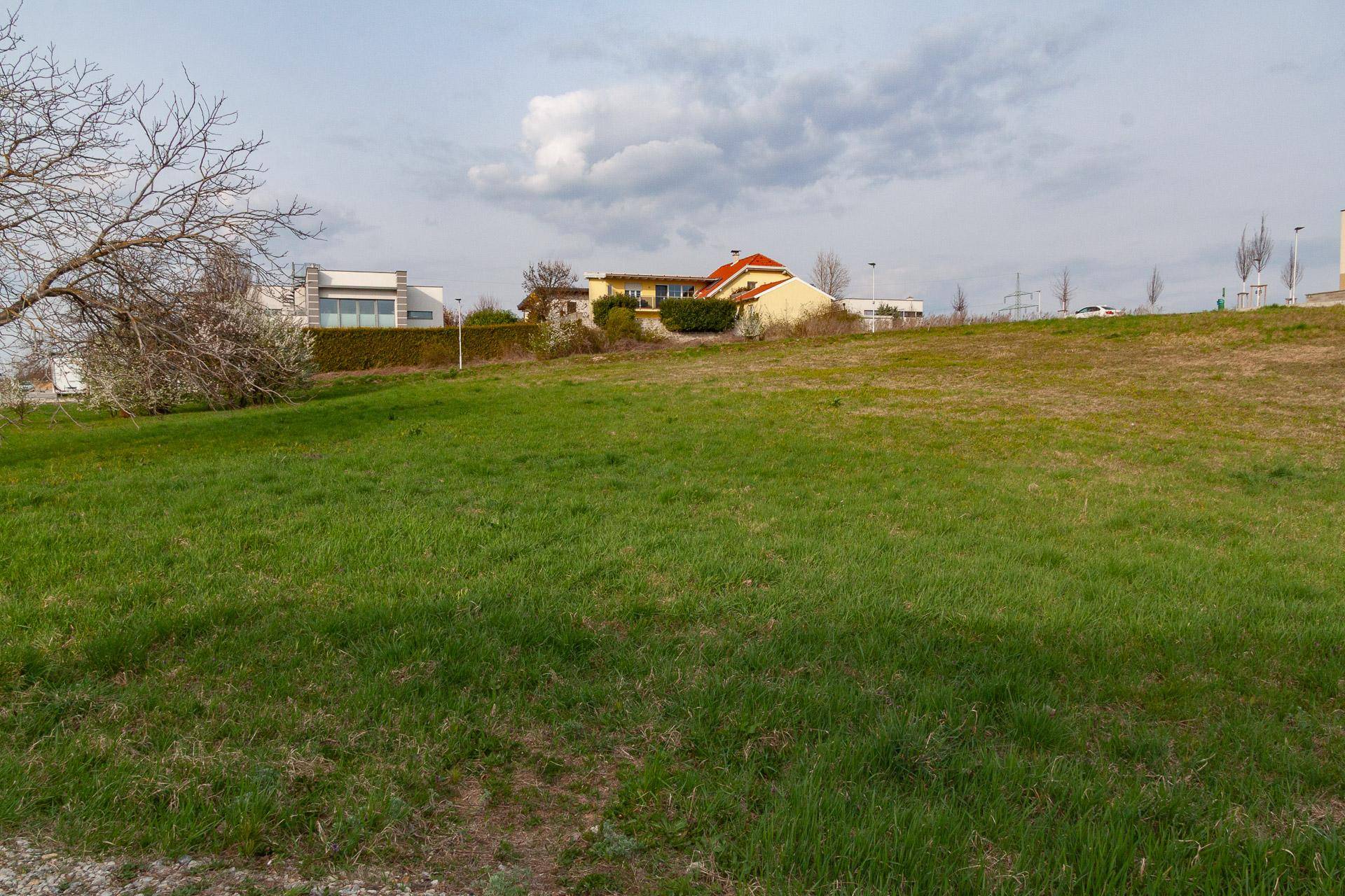 Grüne Wiesenfläche eines unbebauten Grundstücks mit vereinzelten Gebäuden am Horizont unter leicht bewölktem Himmel.