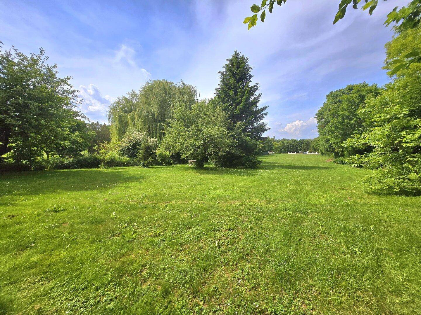 Weitläufige grüne Wiese mit vereinzelten Bäumen und einem weiten Blick in die Natur.