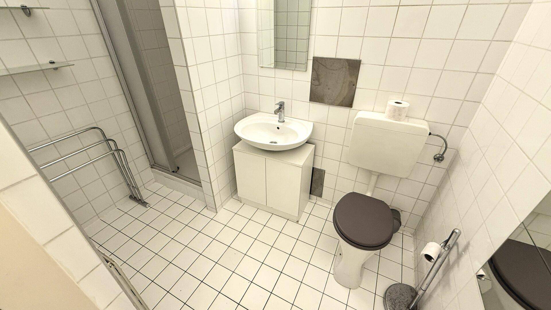 Kleines Badezimmer mit Duschkabine, Waschbecken und WC, komplett weiß gefliest.