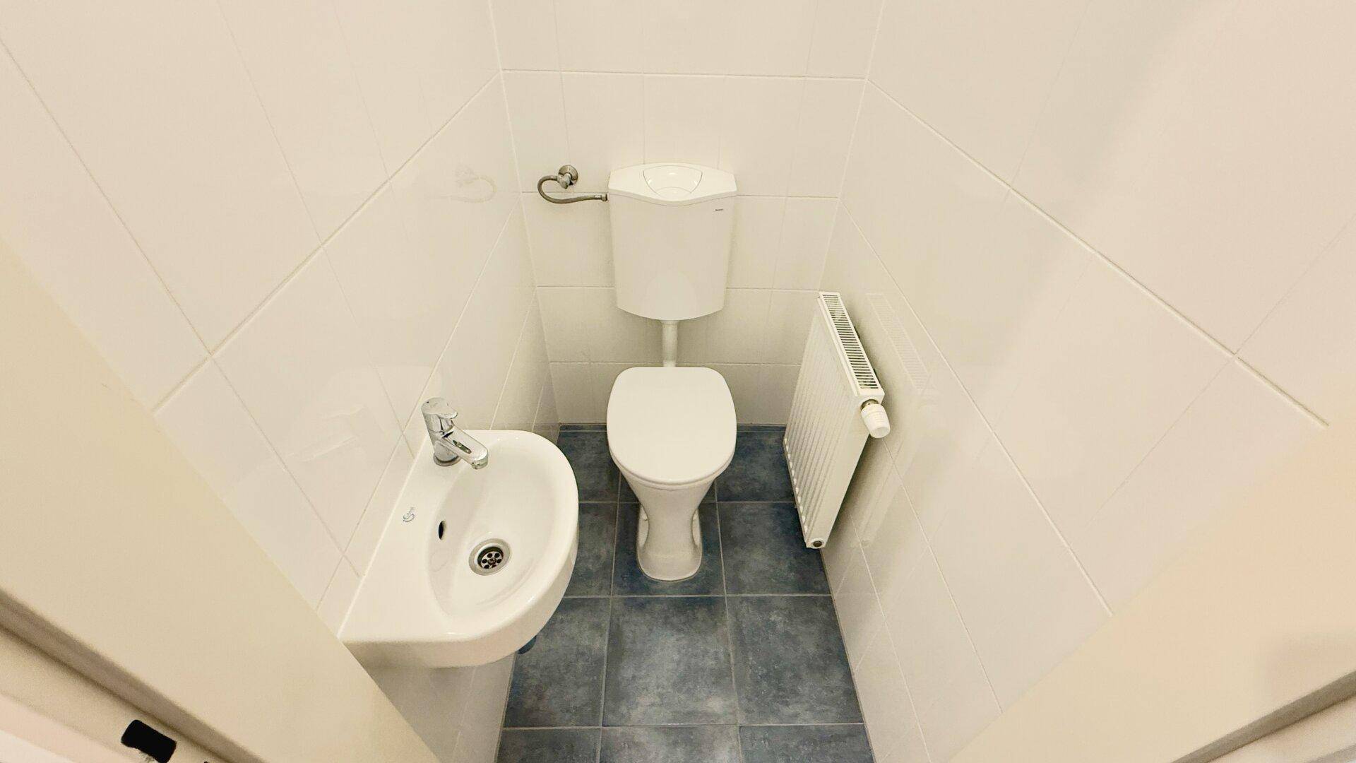 Separates WC mit Toilette, kleinem Waschbecken und blau-weiß gefliestem Boden und Wänden.
