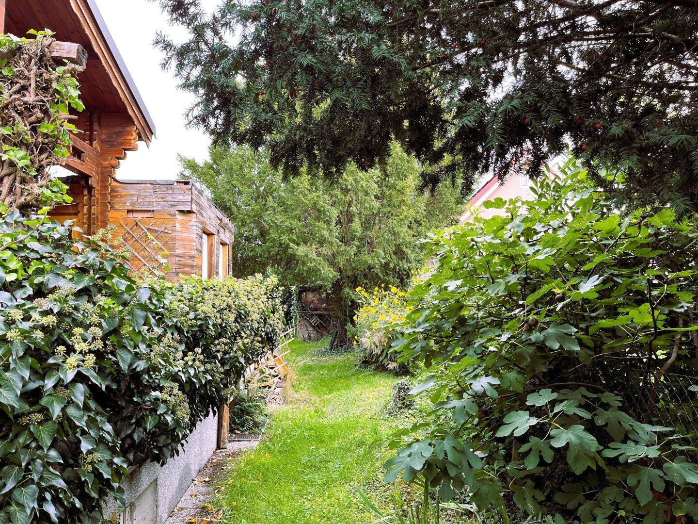 Schmaler Gartenweg zwischen üppiger Bepflanzung und dem Holzhaus im Hintergrund.