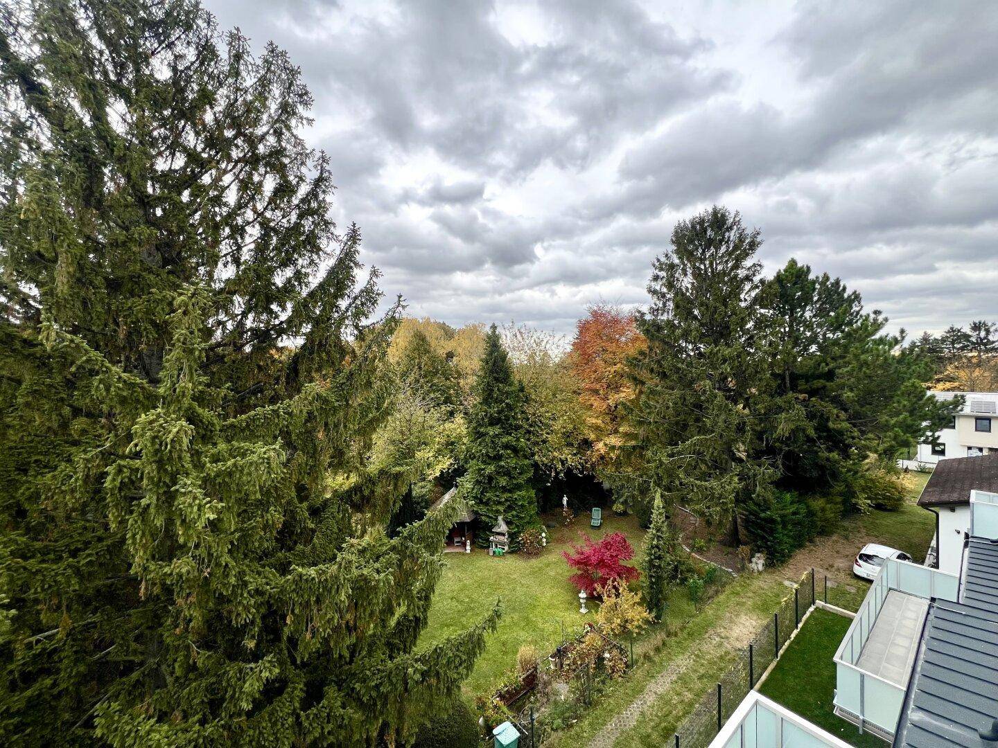 Weitläufiger Blick ins Grüne mit hohen Bäumen und einem Gartenbereich unter bewölktem Himmel.