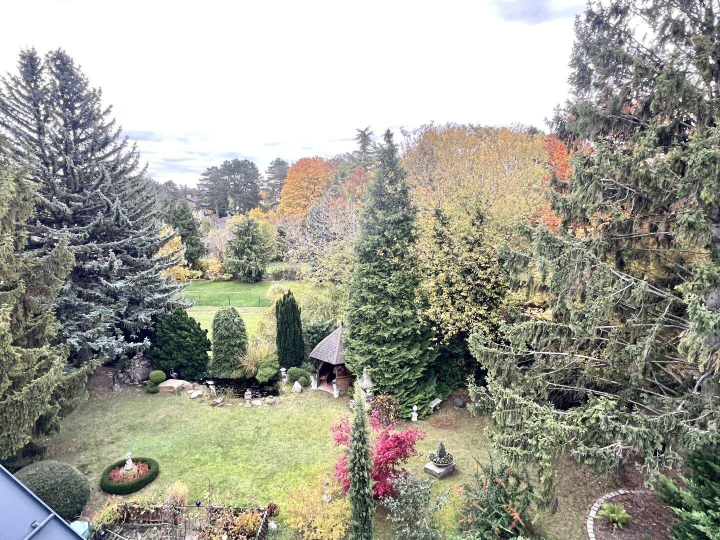 Malerischer Garten mit üppiger Vegetation, Bäumen, einem kleinen Teich und einem Gartenhaus.