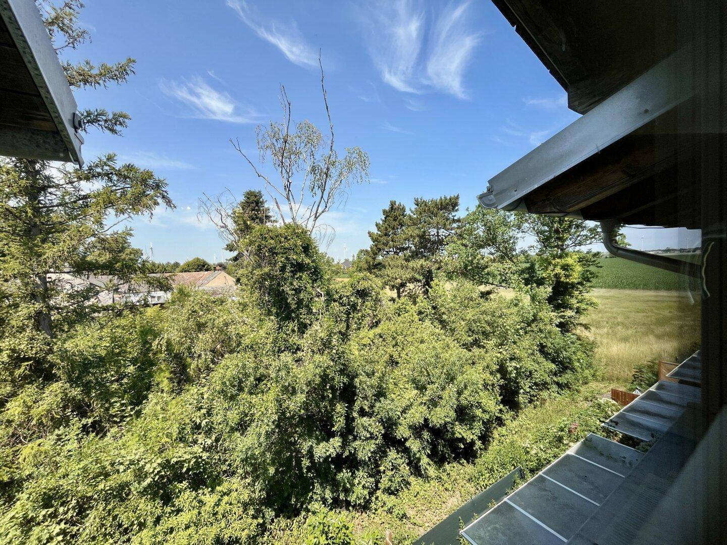 Weitläufiger Blick ins Grüne mit Bäumen und Feldern unter einem blauen Himmel.
