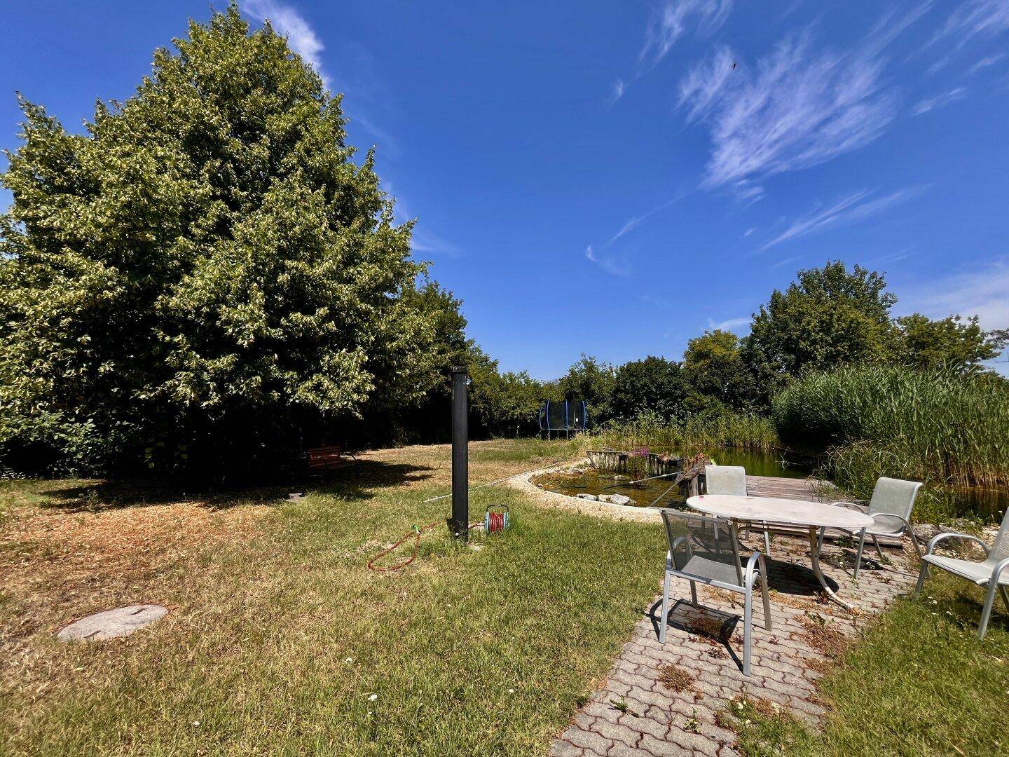 Großer Garten mit Teich, Sitzbereich und altem Baum unter strahlend blauem Himmel.