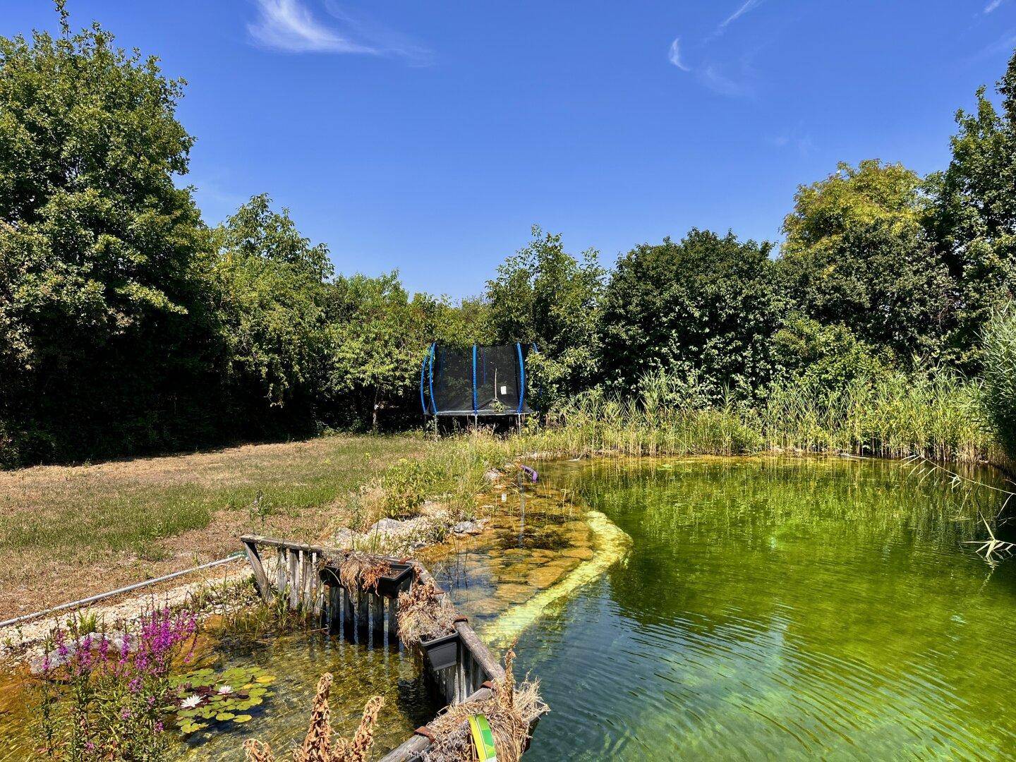 Teichlandschaft im Garten mit einem Trampolin im Hintergrund, ideal für Familien.
