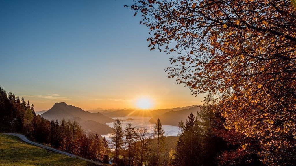 Sonnenaufgang über einer weiten Berglandschaft mit herbstlichen Bäumen und Nebel.