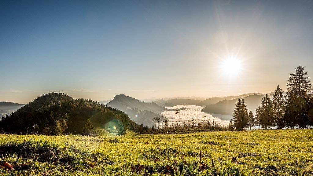 Sonnige Berglandschaft mit grünen Wiesen und einem malerischen Nebelmeer in der Ferne.