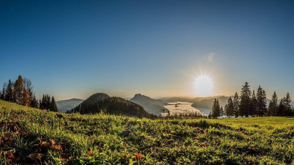 Weitläufige grüne Wiesen mit Blick auf die Berge und ein Nebelmeer im Tal.