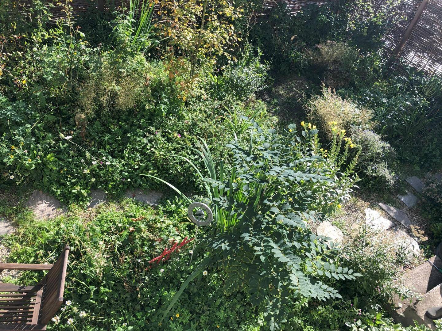 Üppiger Gartenbereich mit vielfältiger Bepflanzung und natürlicher Gestaltung.